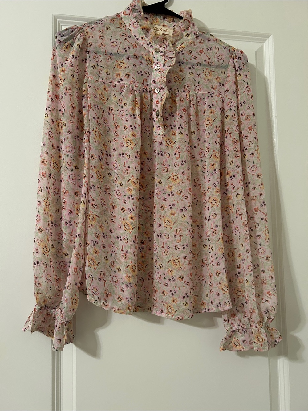 Floral Ruffled Sheer Long-Sleeve Blouse - Pink Floral